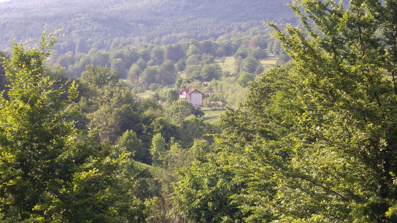 ホテル Casa Din Piatra Poiana  エクステリア 写真