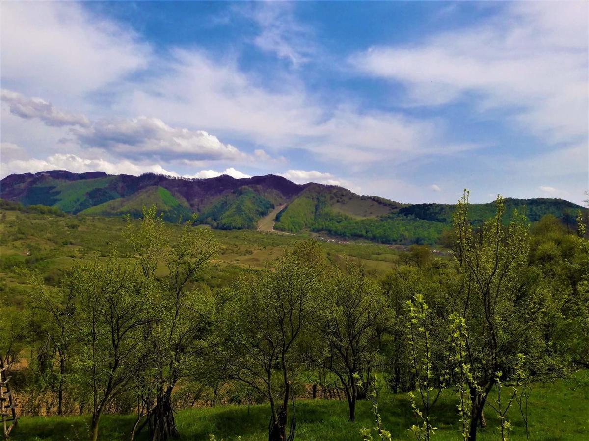 ホテル Casa Din Piatra Poiana  エクステリア 写真