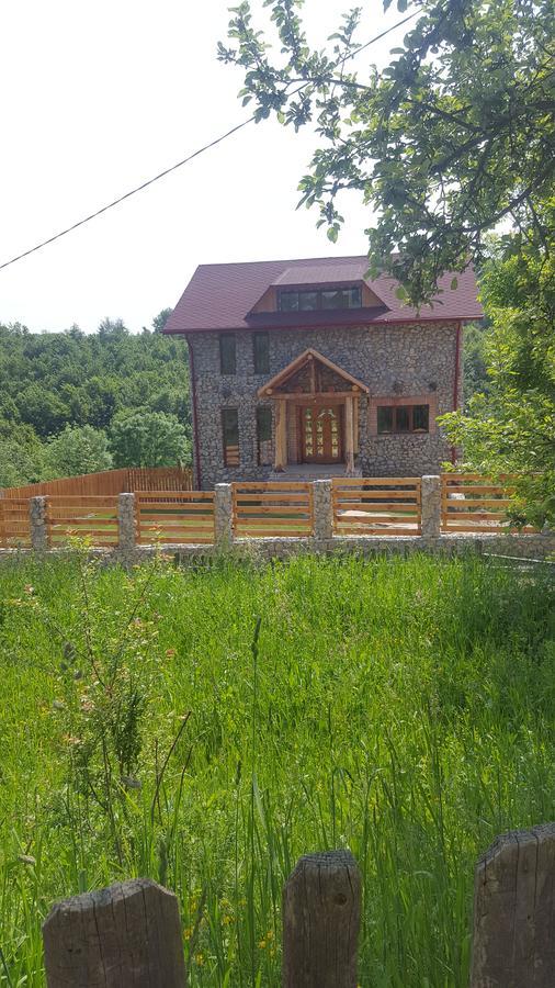 ホテル Casa Din Piatra Poiana  エクステリア 写真
