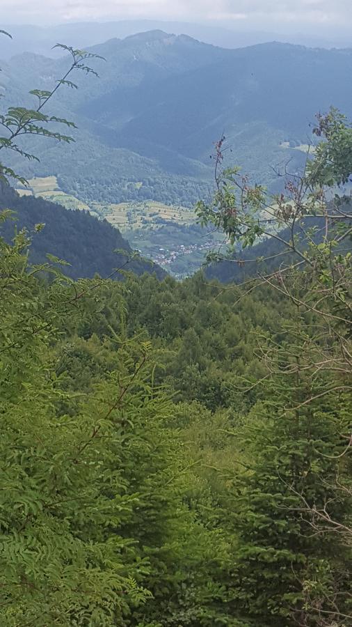 ホテル Casa Din Piatra Poiana  エクステリア 写真