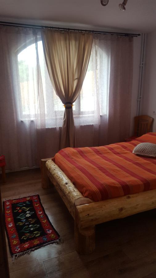 ホテル Casa Din Piatra Poiana  エクステリア 写真