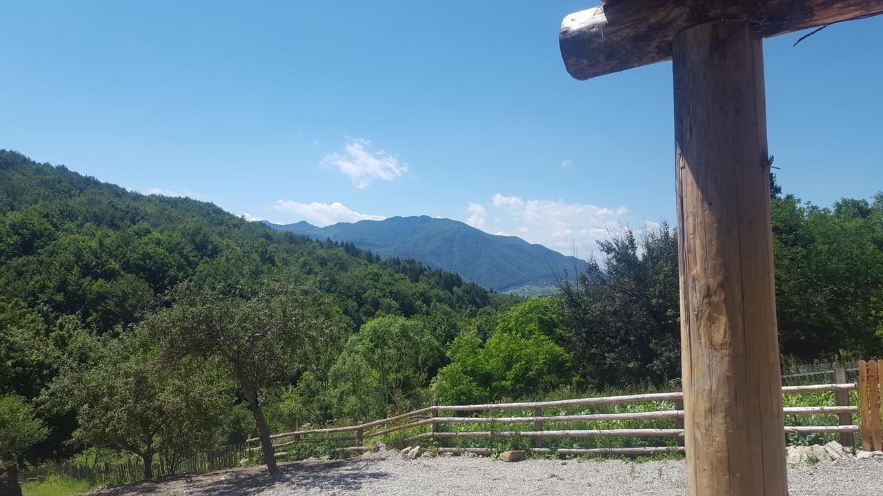 ホテル Casa Din Piatra Poiana  エクステリア 写真