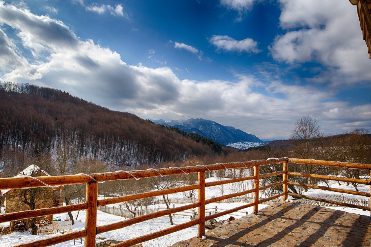 ホテル Casa Din Piatra Poiana  エクステリア 写真