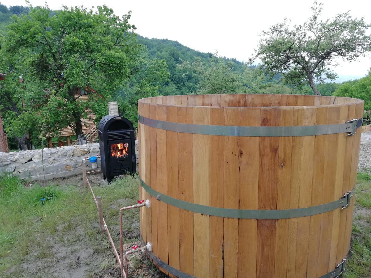 ホテル Casa Din Piatra Poiana  エクステリア 写真