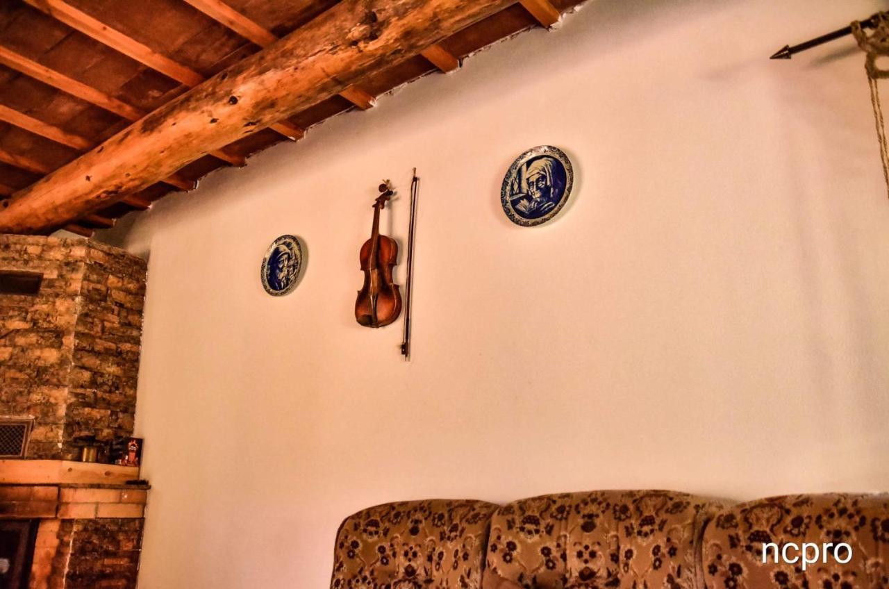 ホテル Casa Din Piatra Poiana  エクステリア 写真